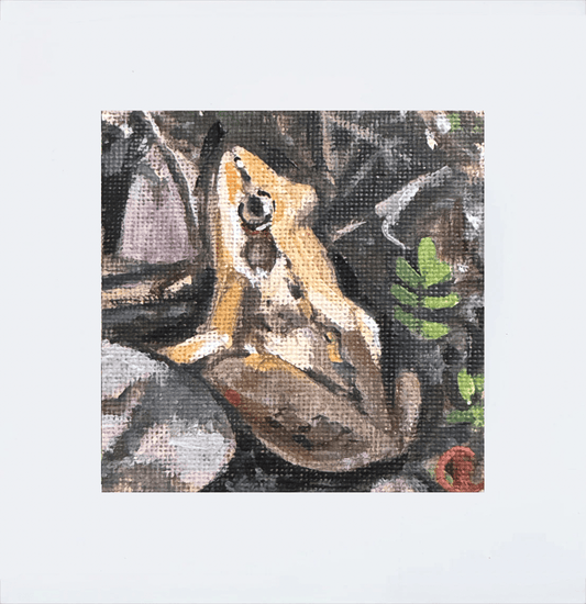 Mini Acrylic Paintings: Spring Amphibians