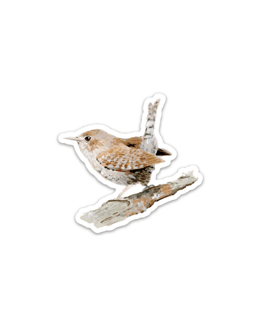 House wren 3” Sticker