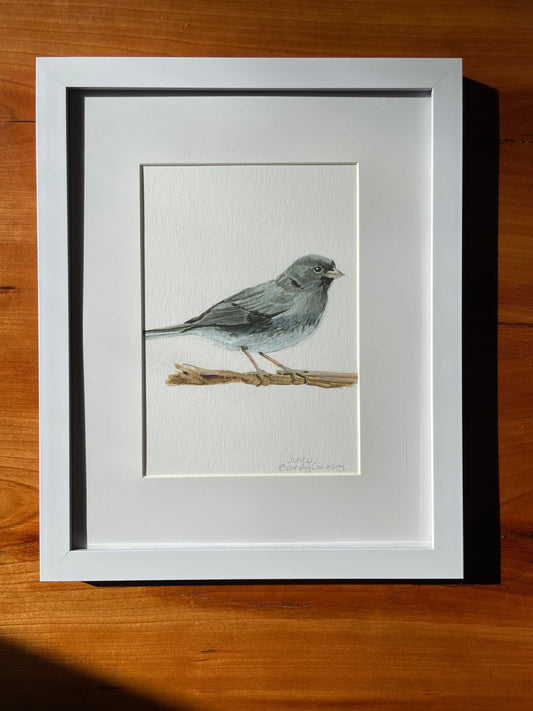 Junco Painting - 5x7 Framed