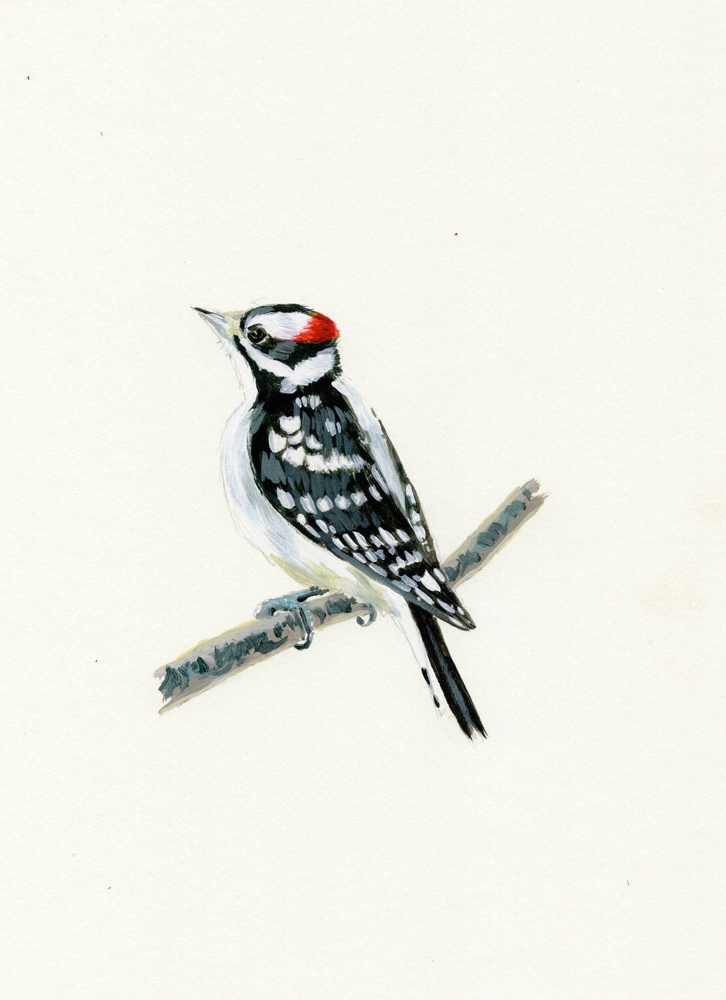 Downy Woodpecker Painting - 5x7 Framed