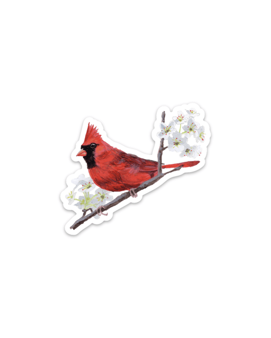 Cardinal 3” Sticker