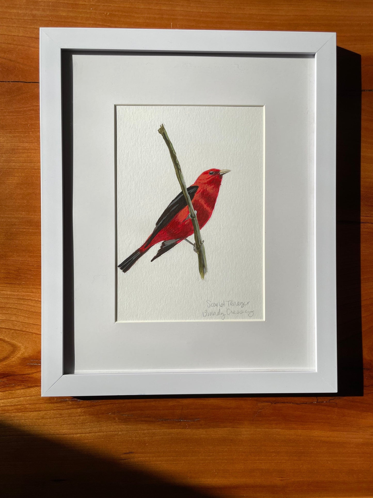 Scarlet Tanager Painting - 5x7 Framed