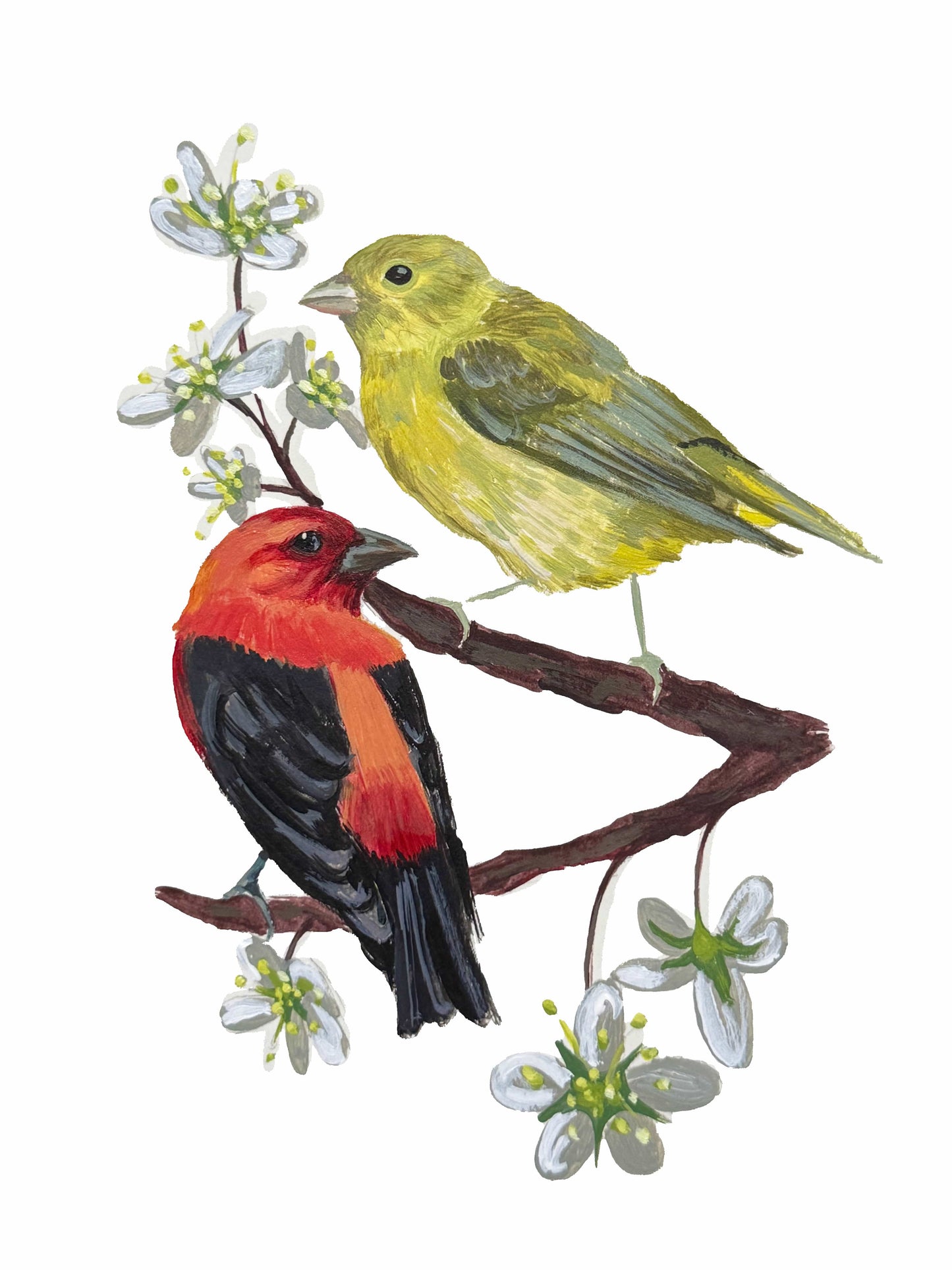 Love Bird Series - Breeding Pairs Acrylic Painting - 5x7 Framed