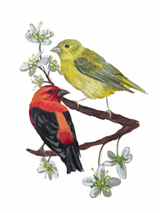 Love Bird Series - Breeding Pairs Acrylic Painting - 5x7 Framed