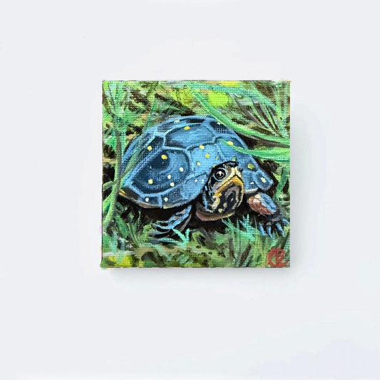 Spotted Turtle - 3x3 inches