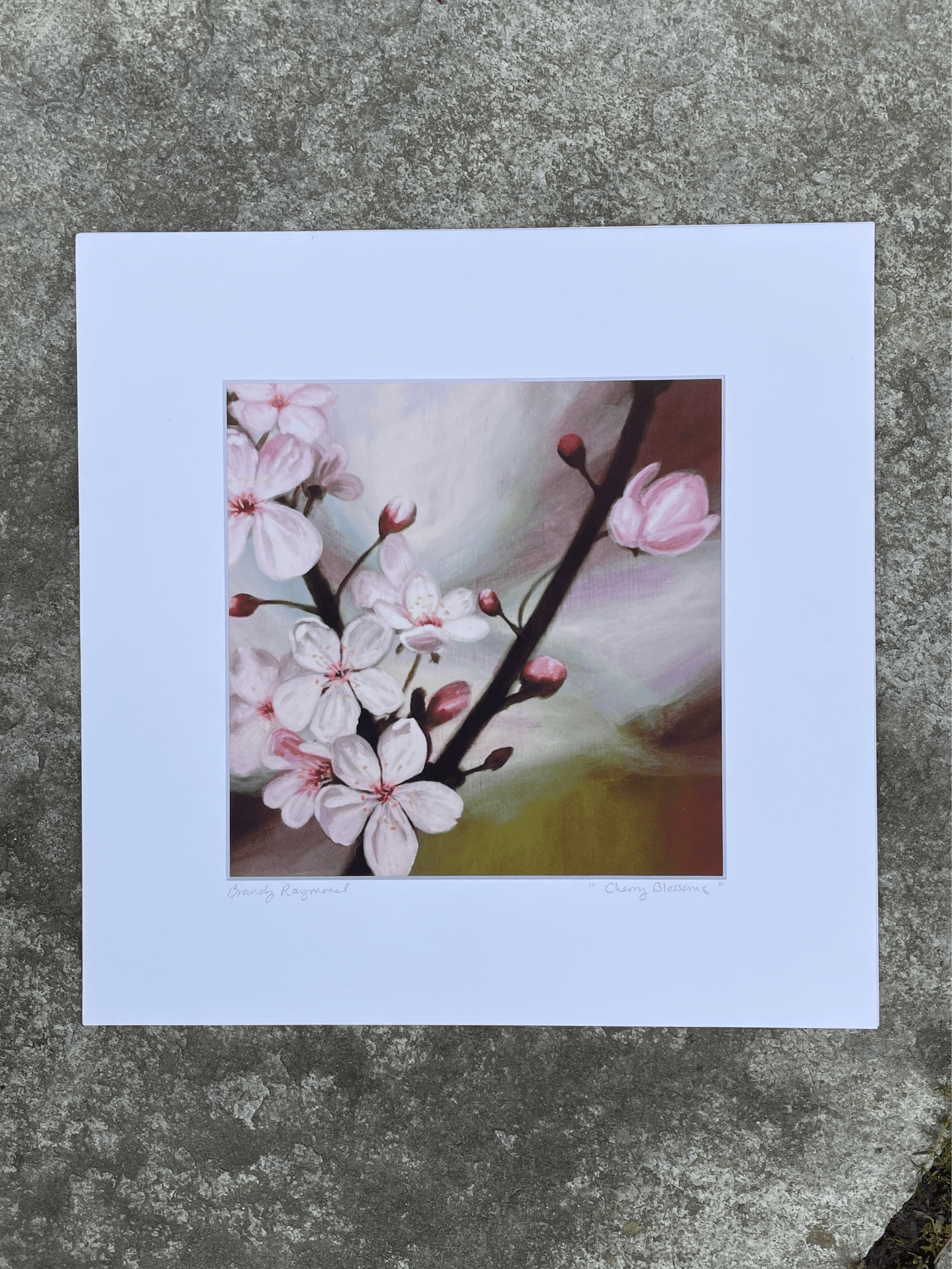 Cherry Blossoms Print