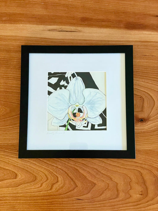 Phalaenopsis Orchid Pen & Ink - 5x5 Framed