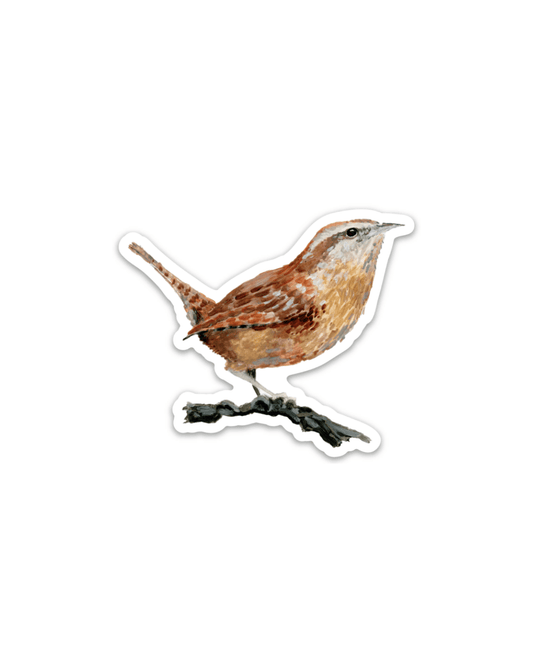 Carolina Wren 3” Sticker