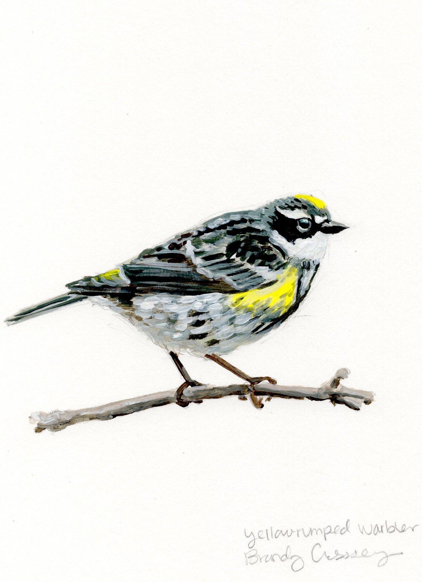 Yellow-rumped Warbler Painting - 5x7 Framed