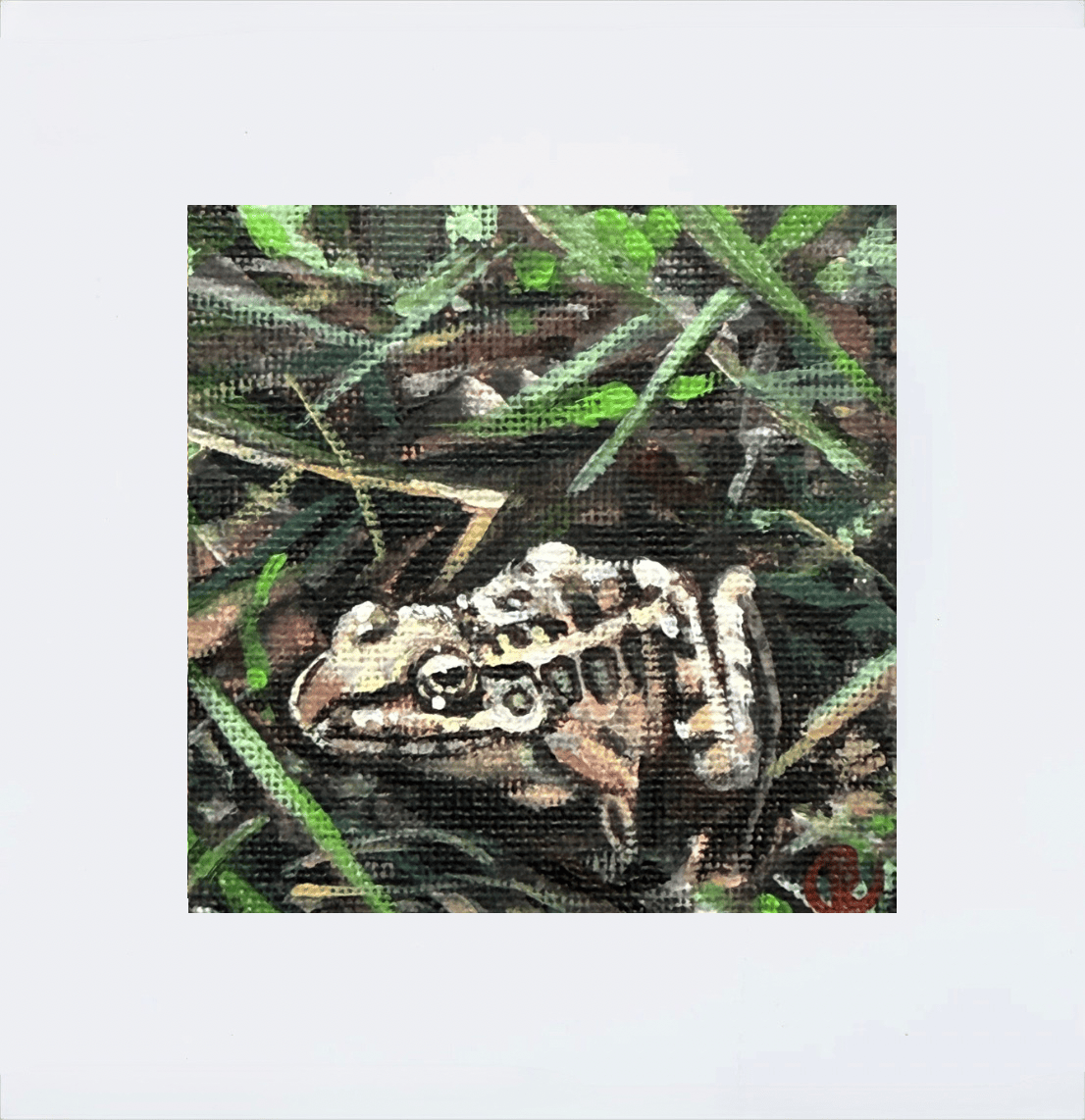 Mini Acrylic Paintings: Spring Amphibians