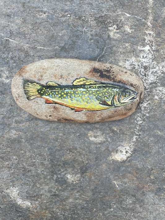 Brook Trout Painted Rock