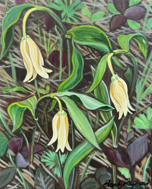 Bellwort - 8x10 original acrylic painting