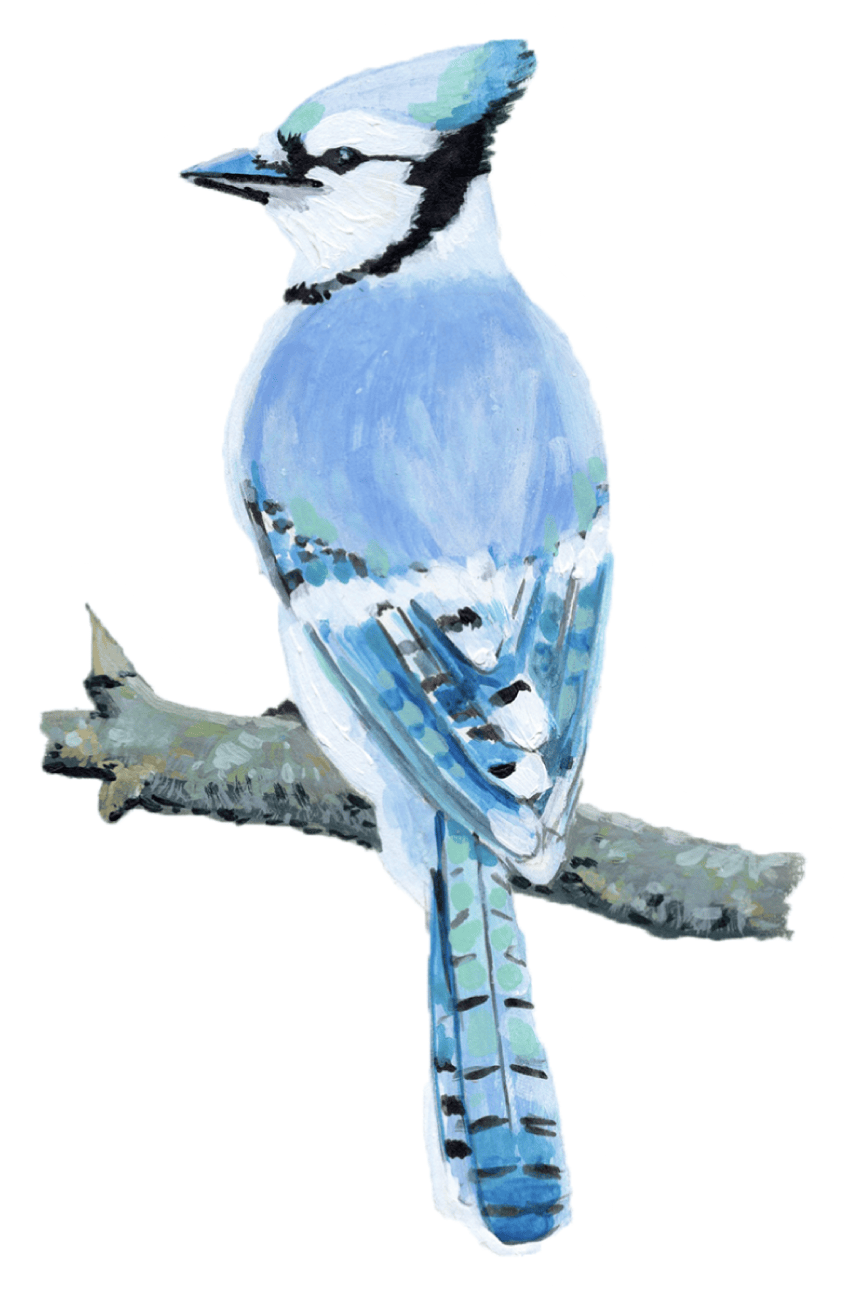 Year-round Maine Bird 3” Sticker
