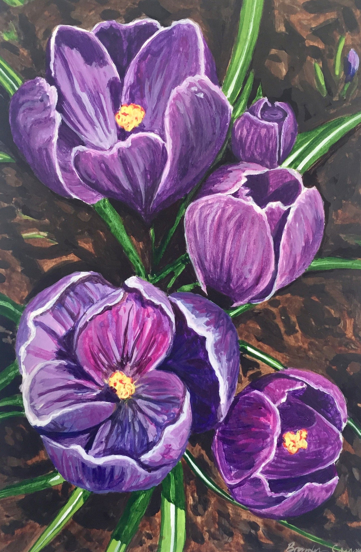 Botanical Matted Print