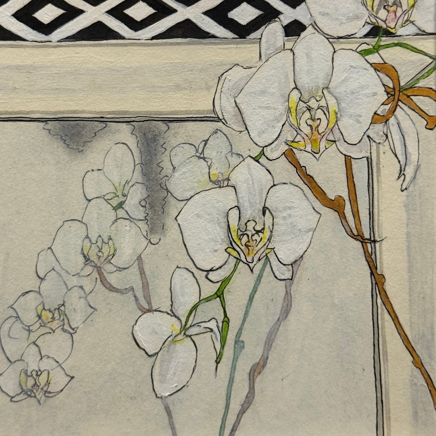 Phalaenopsis Orchid Pen & Ink - 4x4 Framed