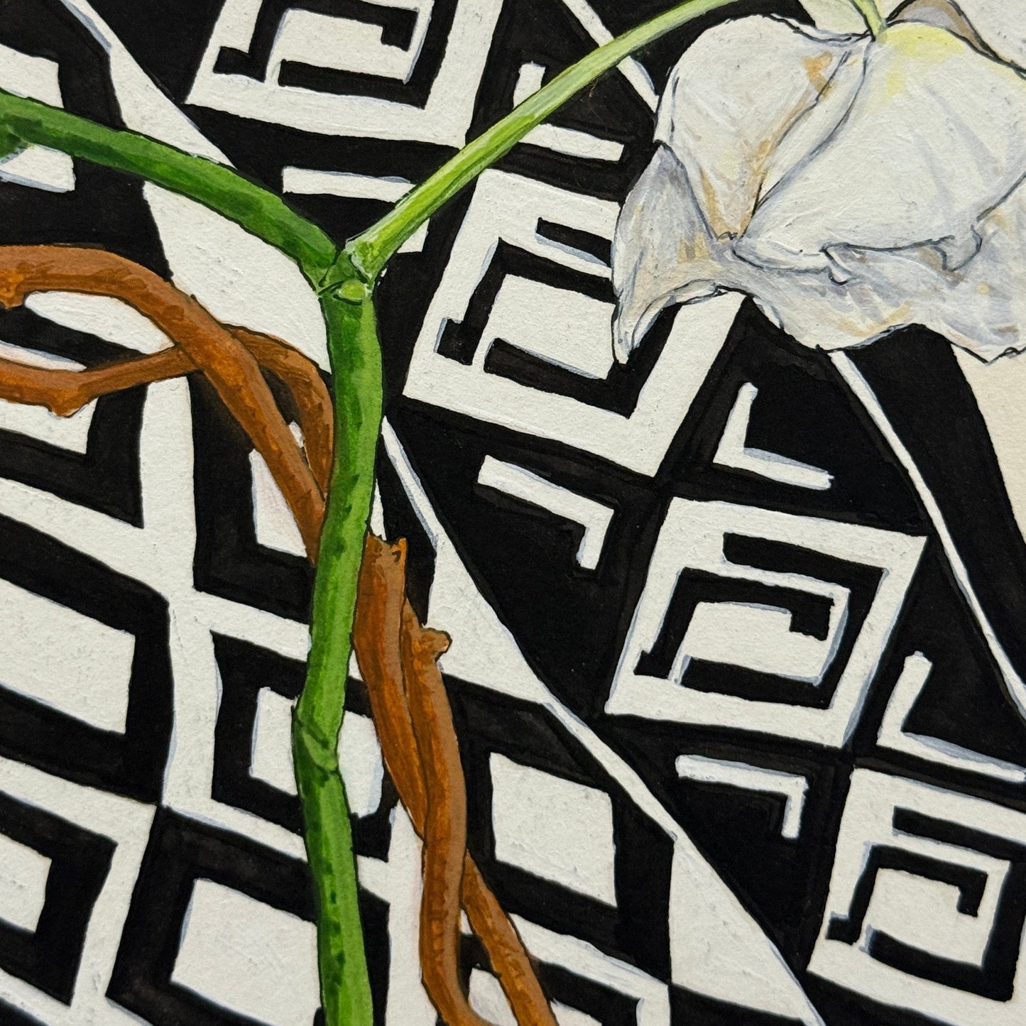 Phalaenopsis Orchid Pen & Ink - 5x5 Framed