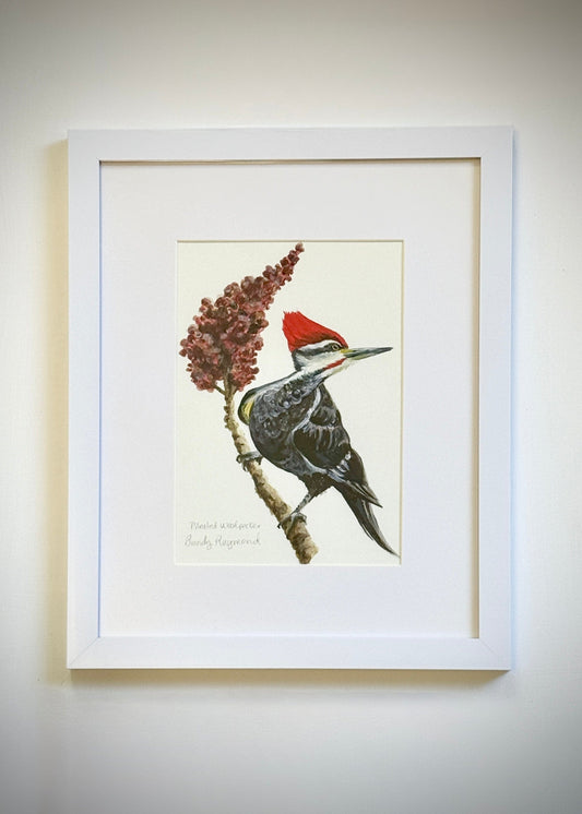 Pileated Woodpecker & Sumac Acrylic Painting - 5x7 Framed