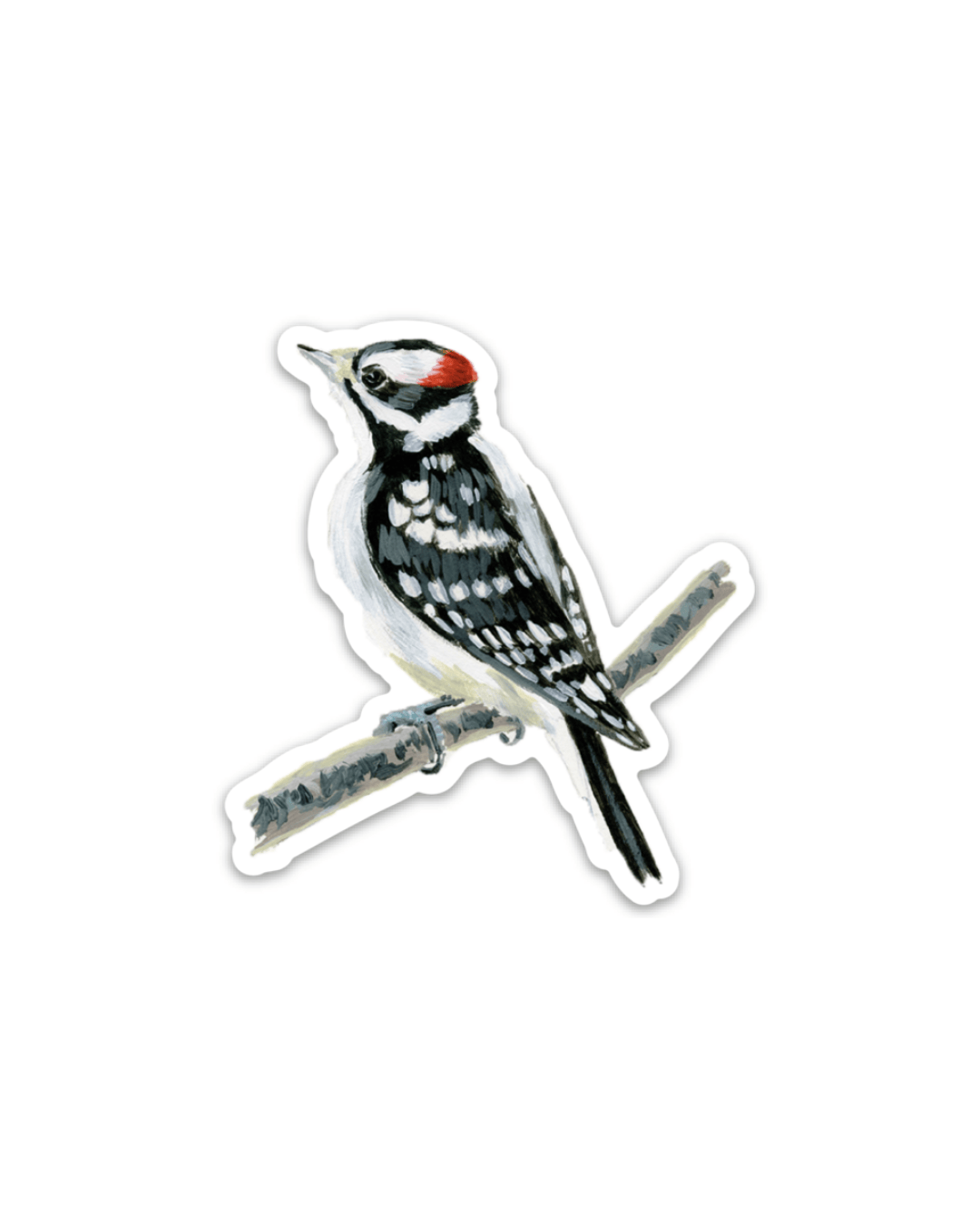 Woodpeckers of Maine Bird 3” Sticker