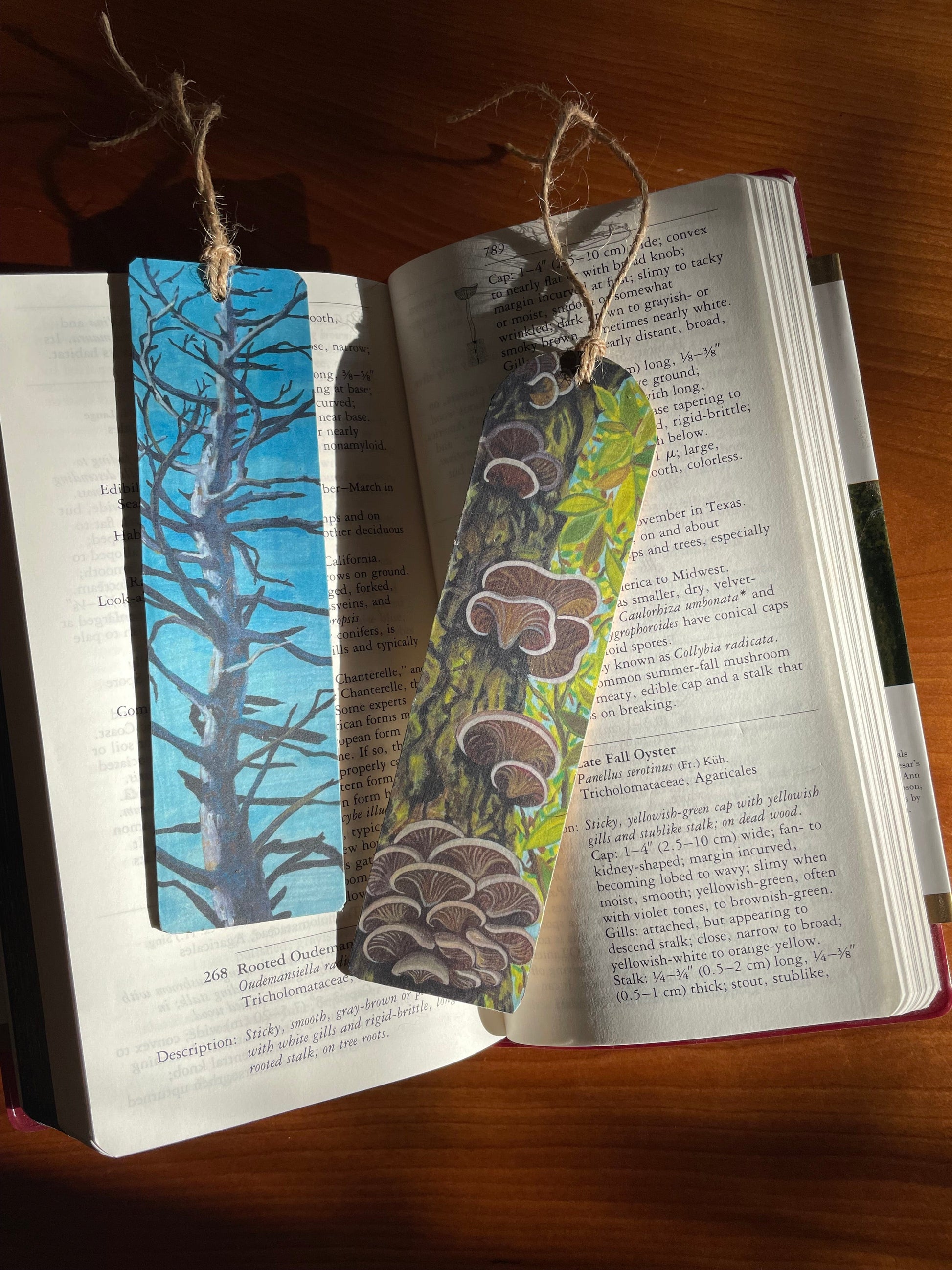 Oyster Mushroom Bookmark made by brandy cressey at florence farmstead.