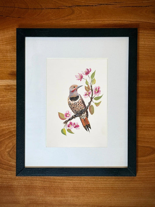 Northern Flicker & Crabapple - Acrylic Painting - 5x7 Framed