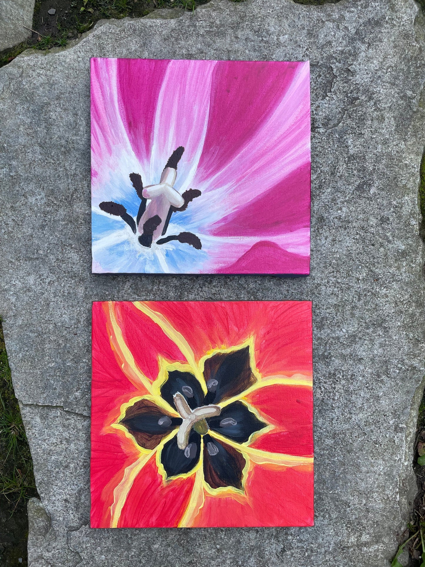 Tulip Paintings - 10x10