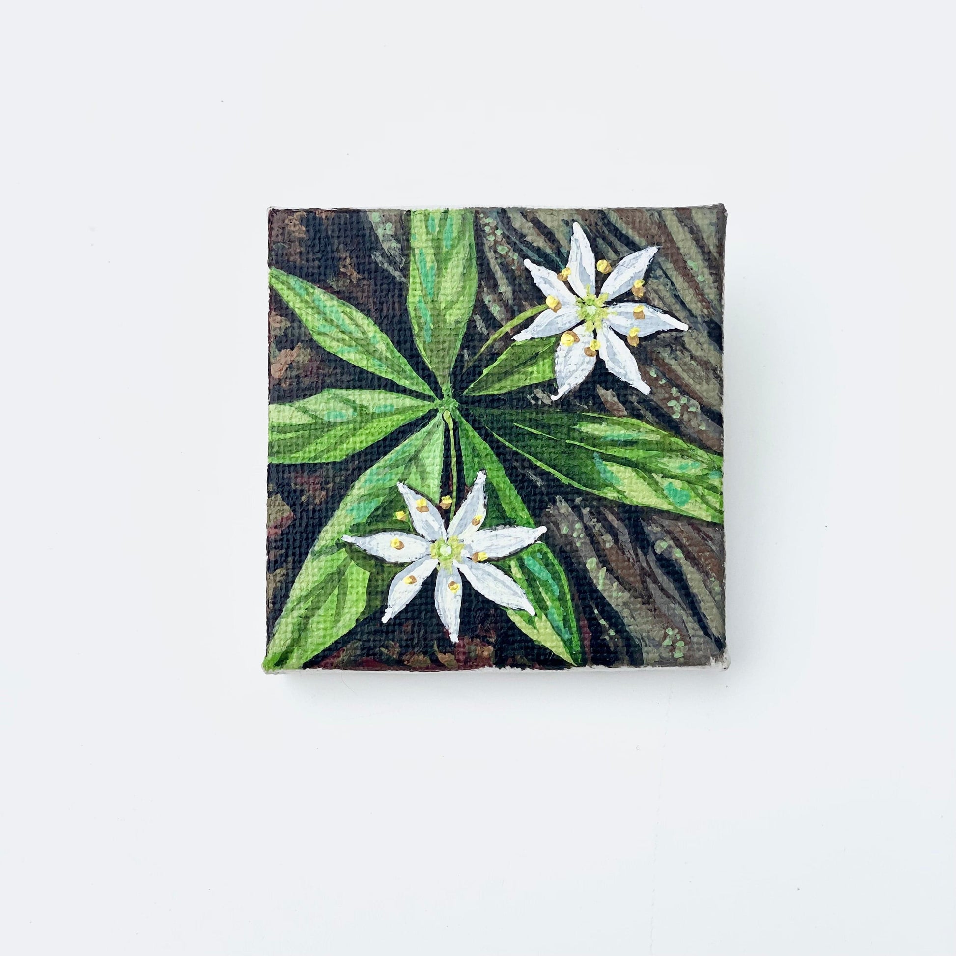 Starflower acrylic painting by brandy raymond in Maine