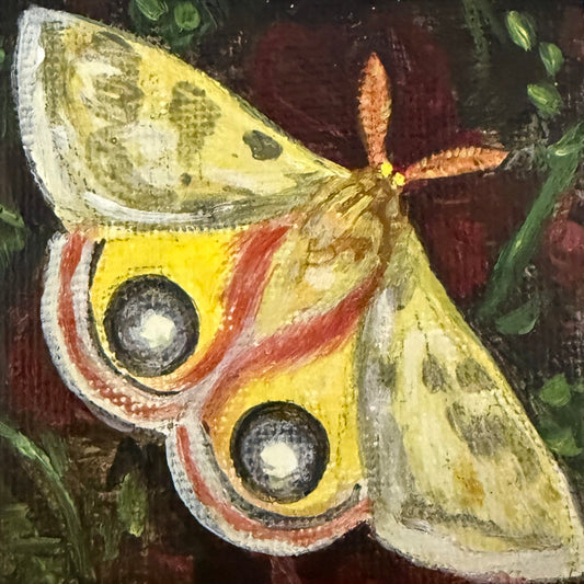 Mini Acrylic Paintings: Pollinators