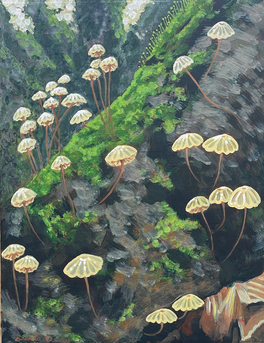 Pinwheel mushroom acrylic painting by brandy raymond