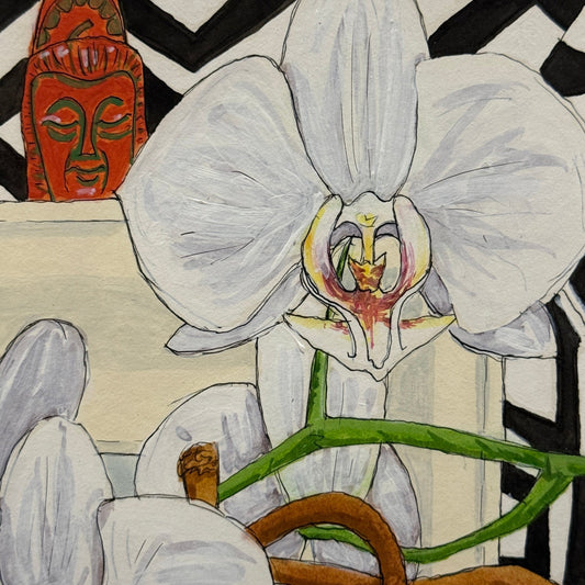 Phalaenopsis Orchid Pen & Ink - 5x5 Framed