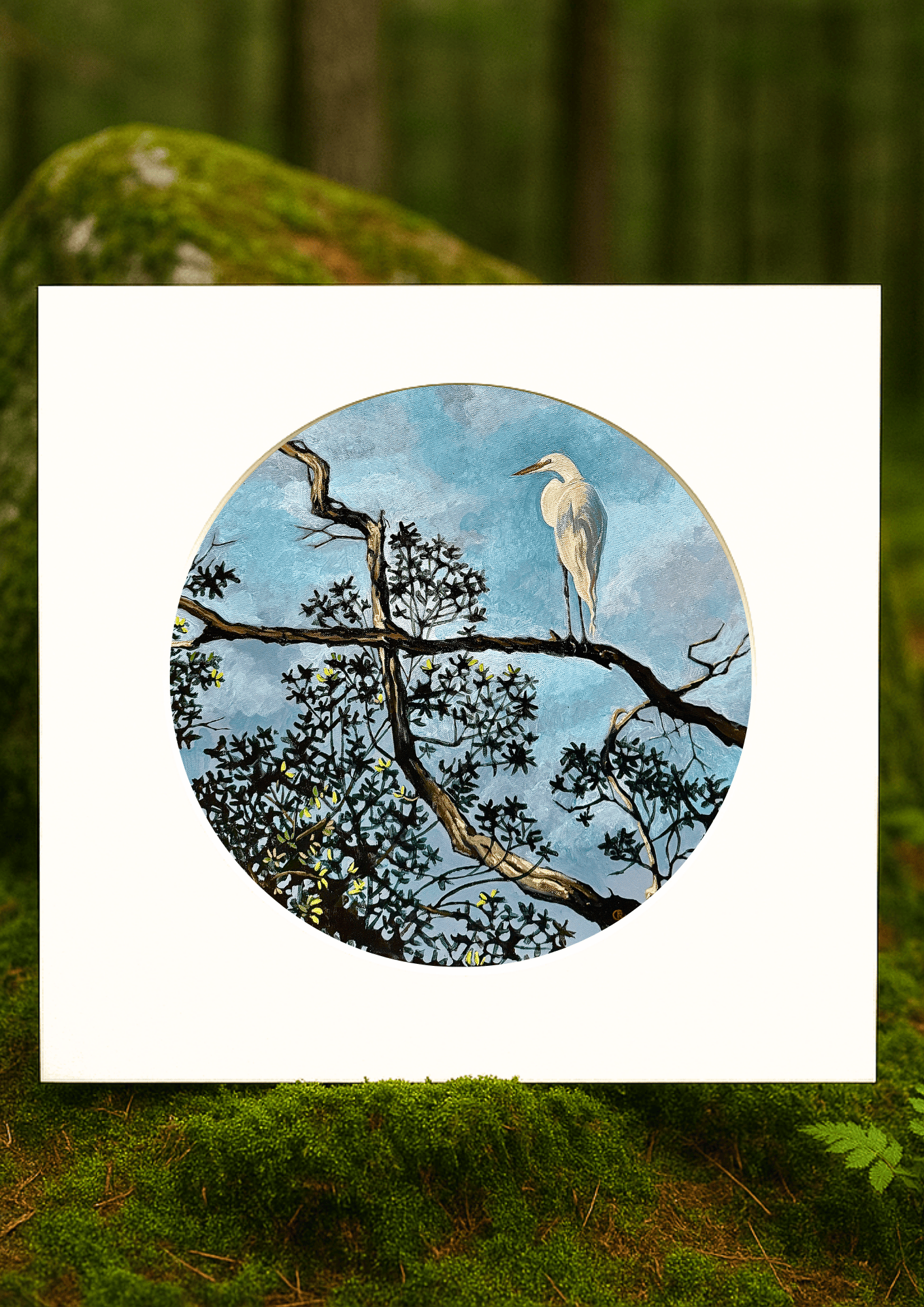 Wildlife Matted Prints