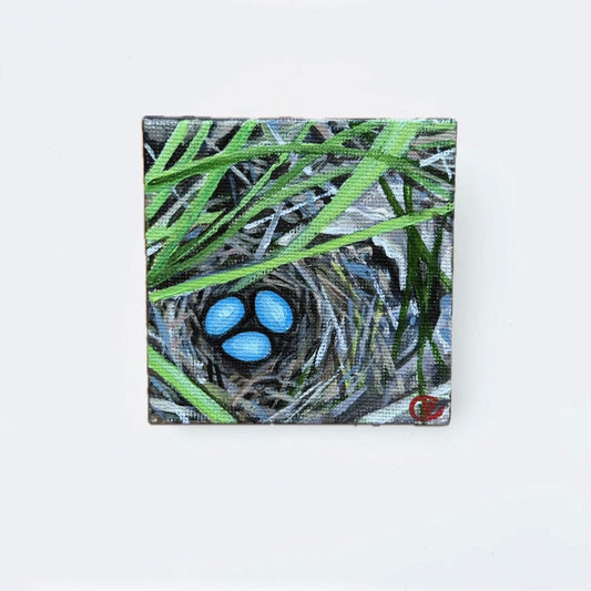 Hermit Thrush Nest - 3x3 inches with stone stand