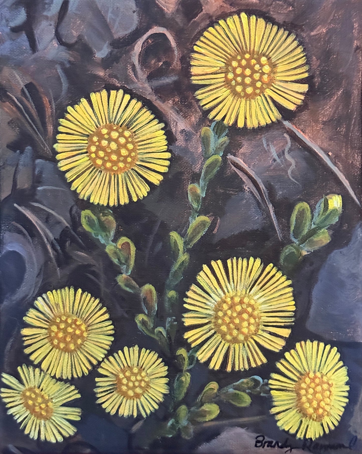 Coltsfoot - 8x10 original acrylic painting