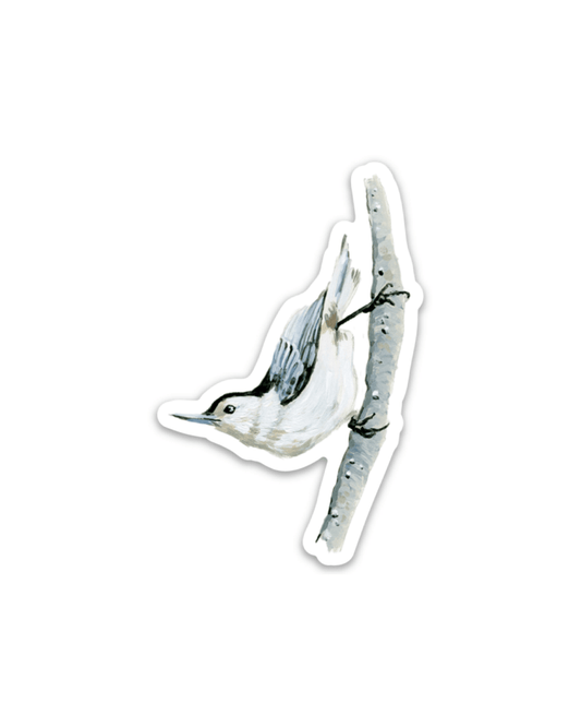 Nuthatch 3” Sticker