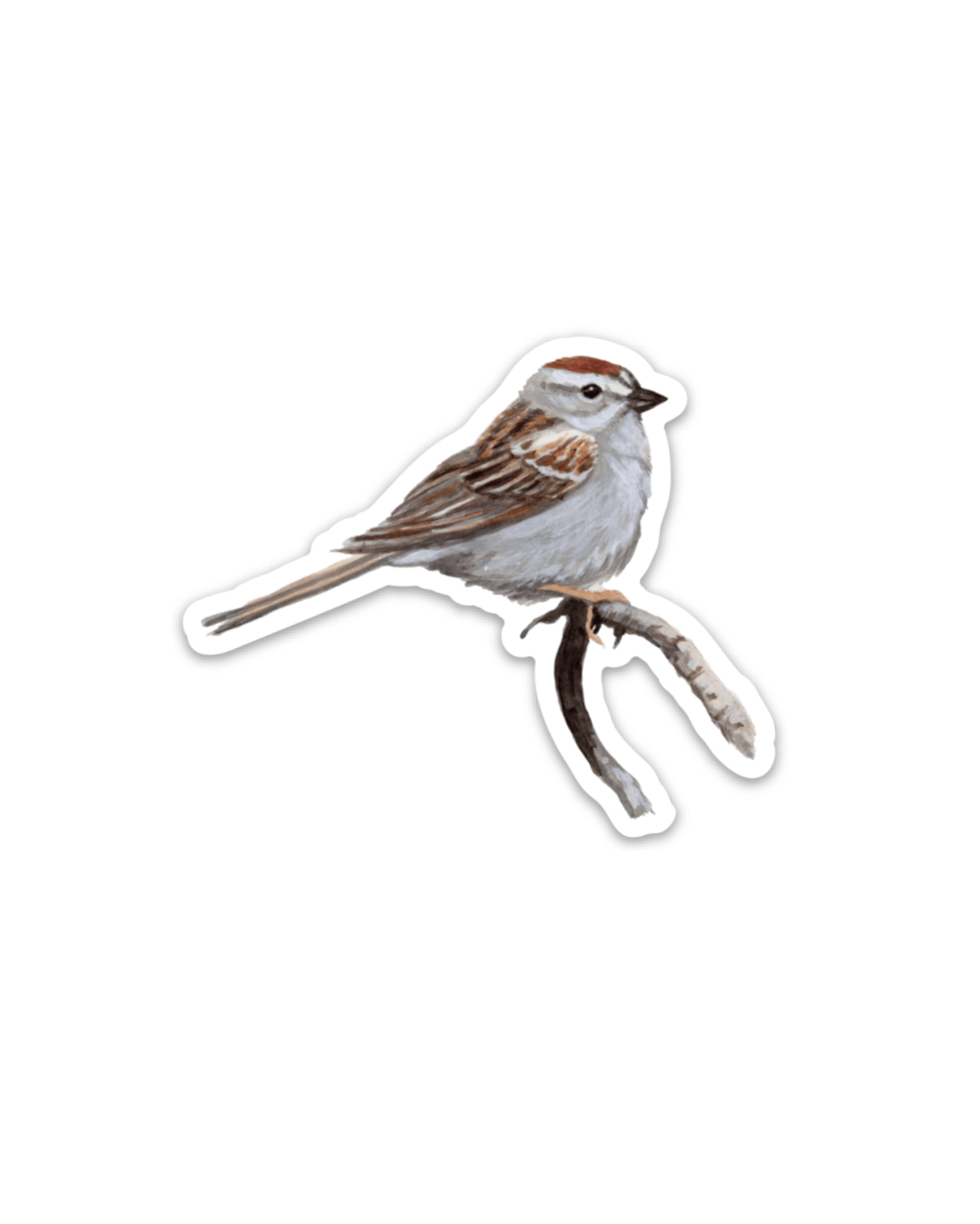 Year-round Maine Bird 3” Sticker