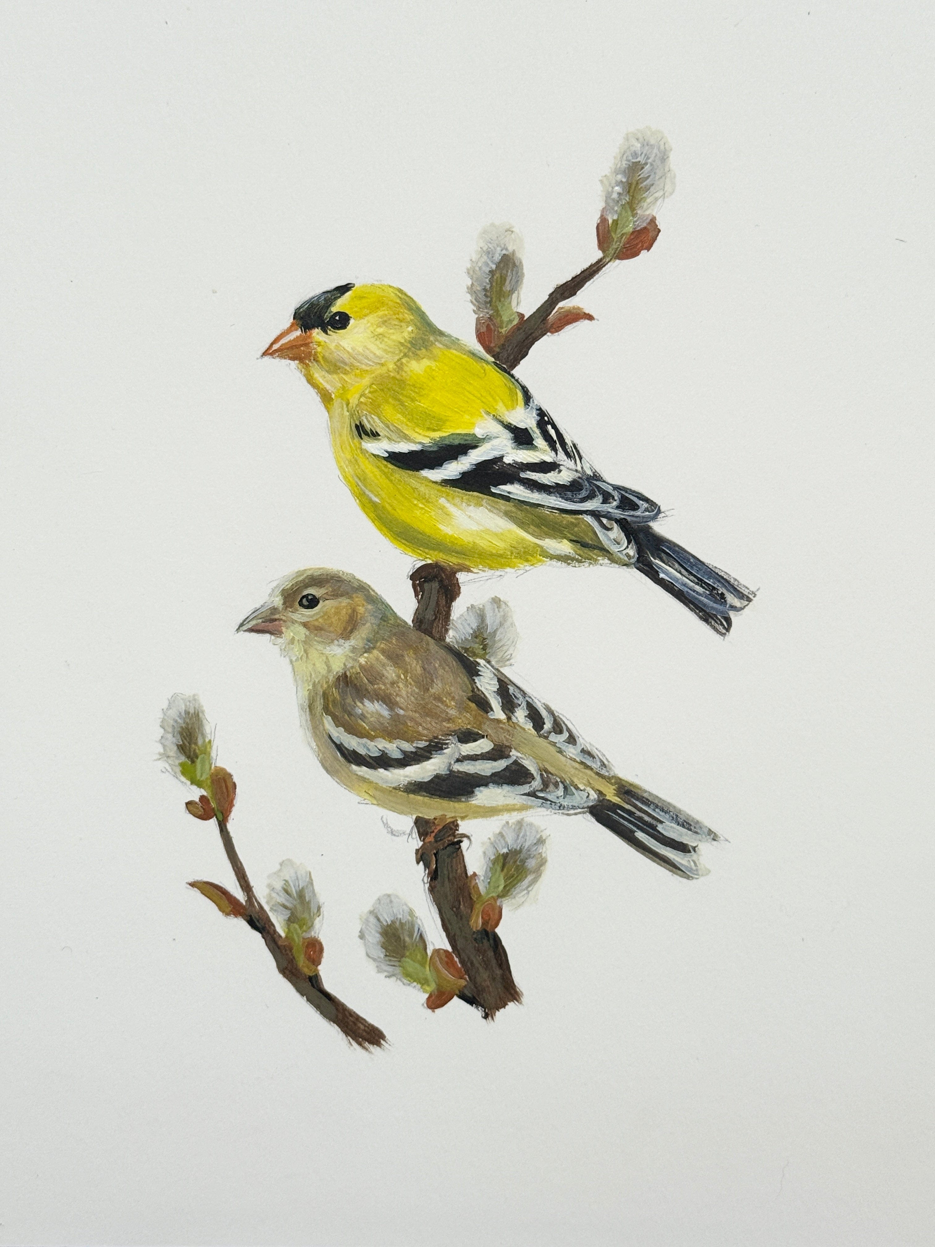 Love Bird Series - Breeding Pairs Acrylic Painting - 5x7 Framed
