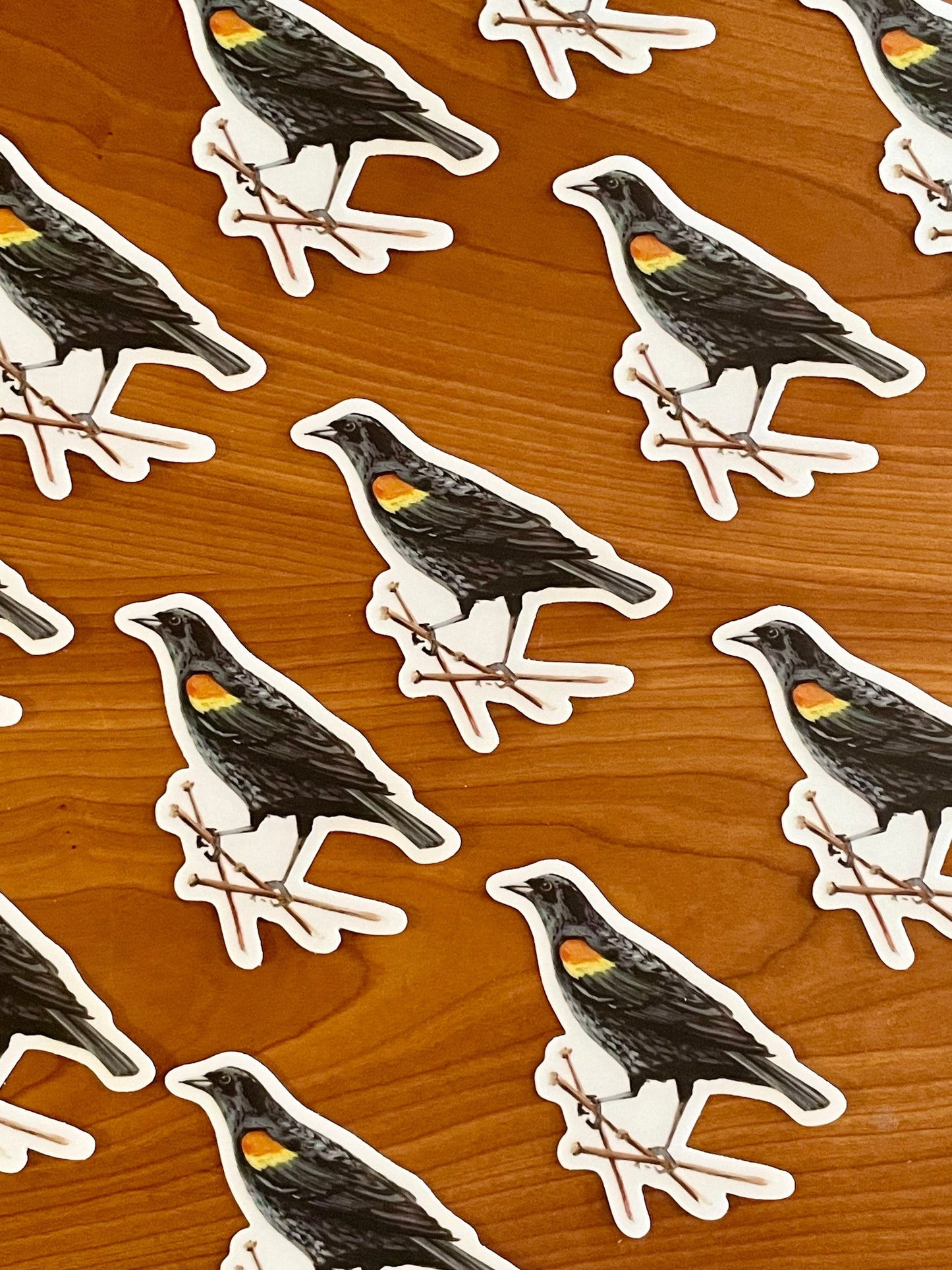 Red-winged Black Bird 3” Sticker