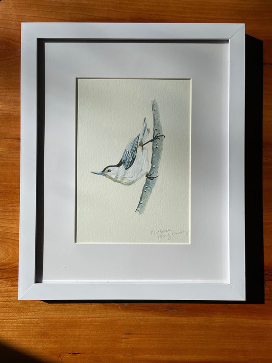 Framed acrylic painting of a nuthatch by brandy cressey for florence farmstead in maine.