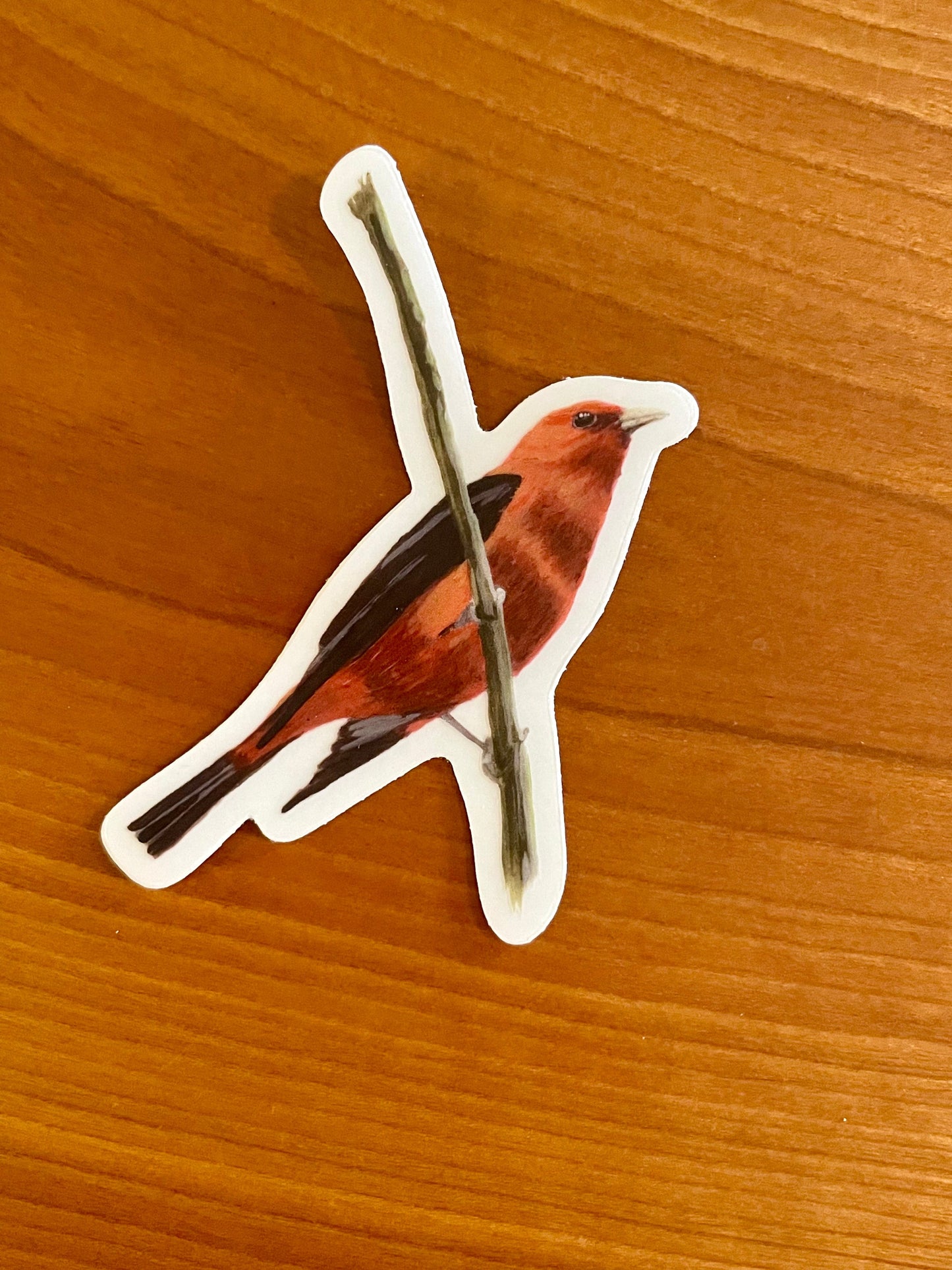 Scarlet Tanager 3” Sticker