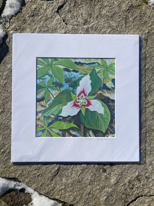 Trillium Print