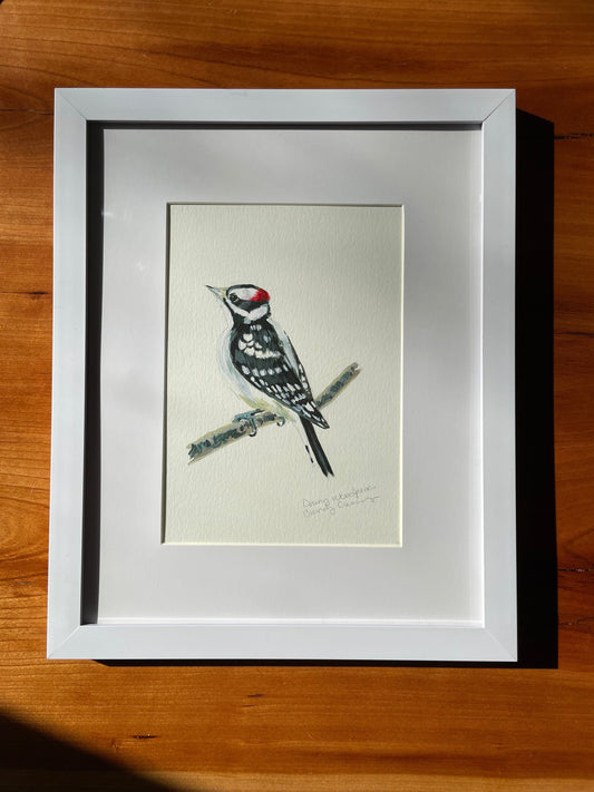 framed painting of a downy woodpecker by brandy cressey for florence farmstead in maine.