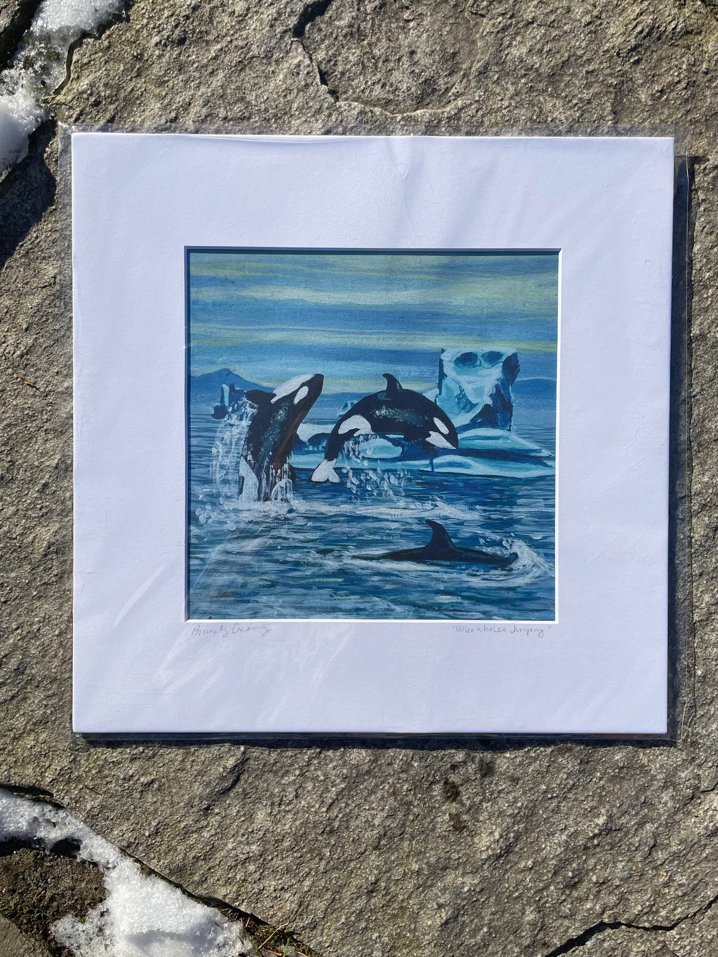 Killerwhale Print