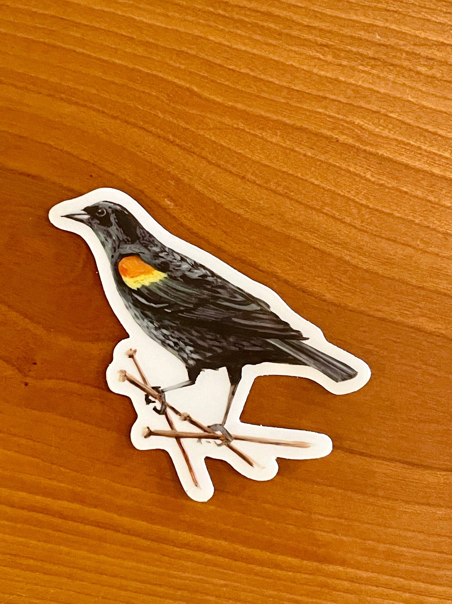 Red-winged Black Bird 3” Sticker