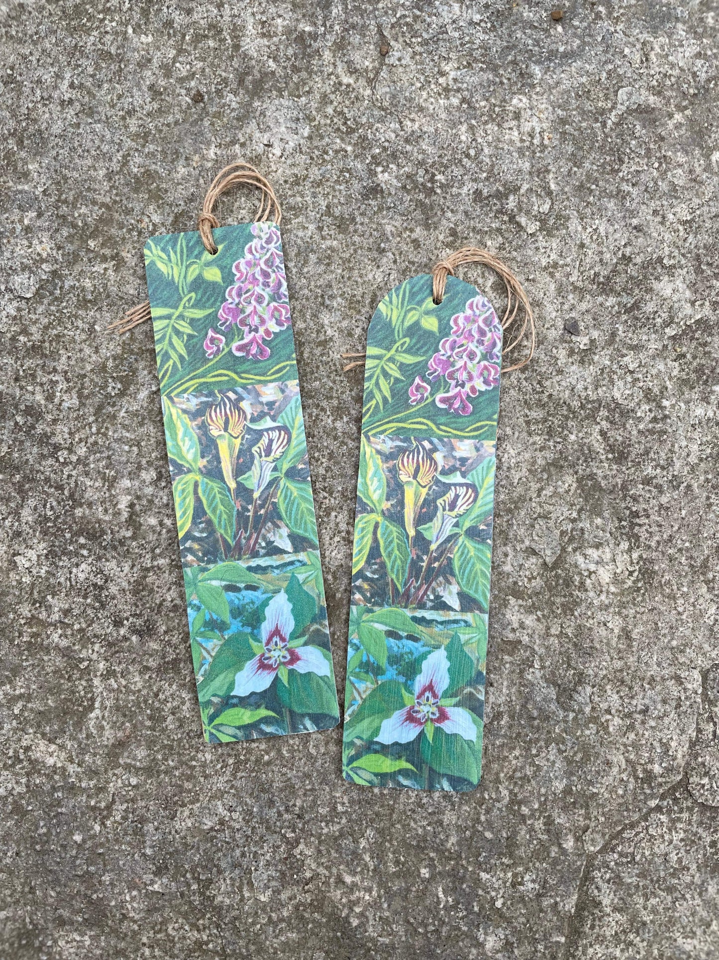 Maine wildflower bookmark with groundnut, jack-in-the-pulpit and trillium. Printed from original paintings by brandy cressey raymond and glued on wood.