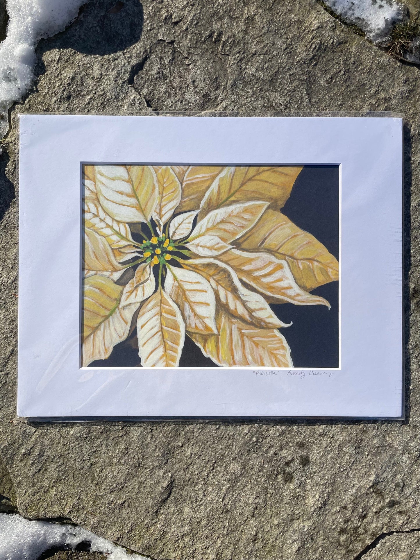Botanical Matted Print
