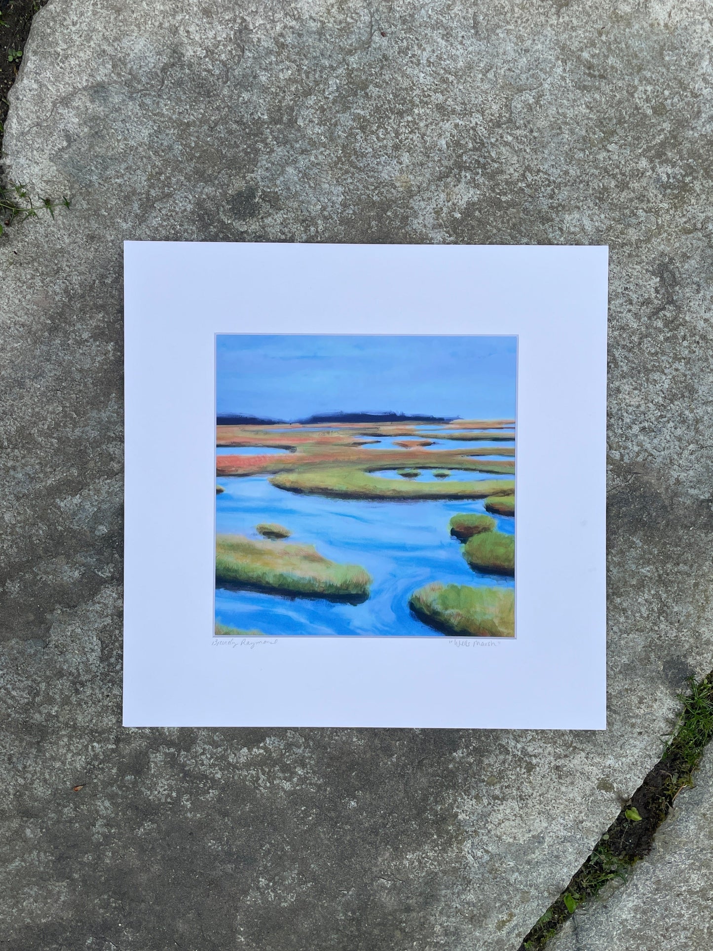 Wells Marsh Print