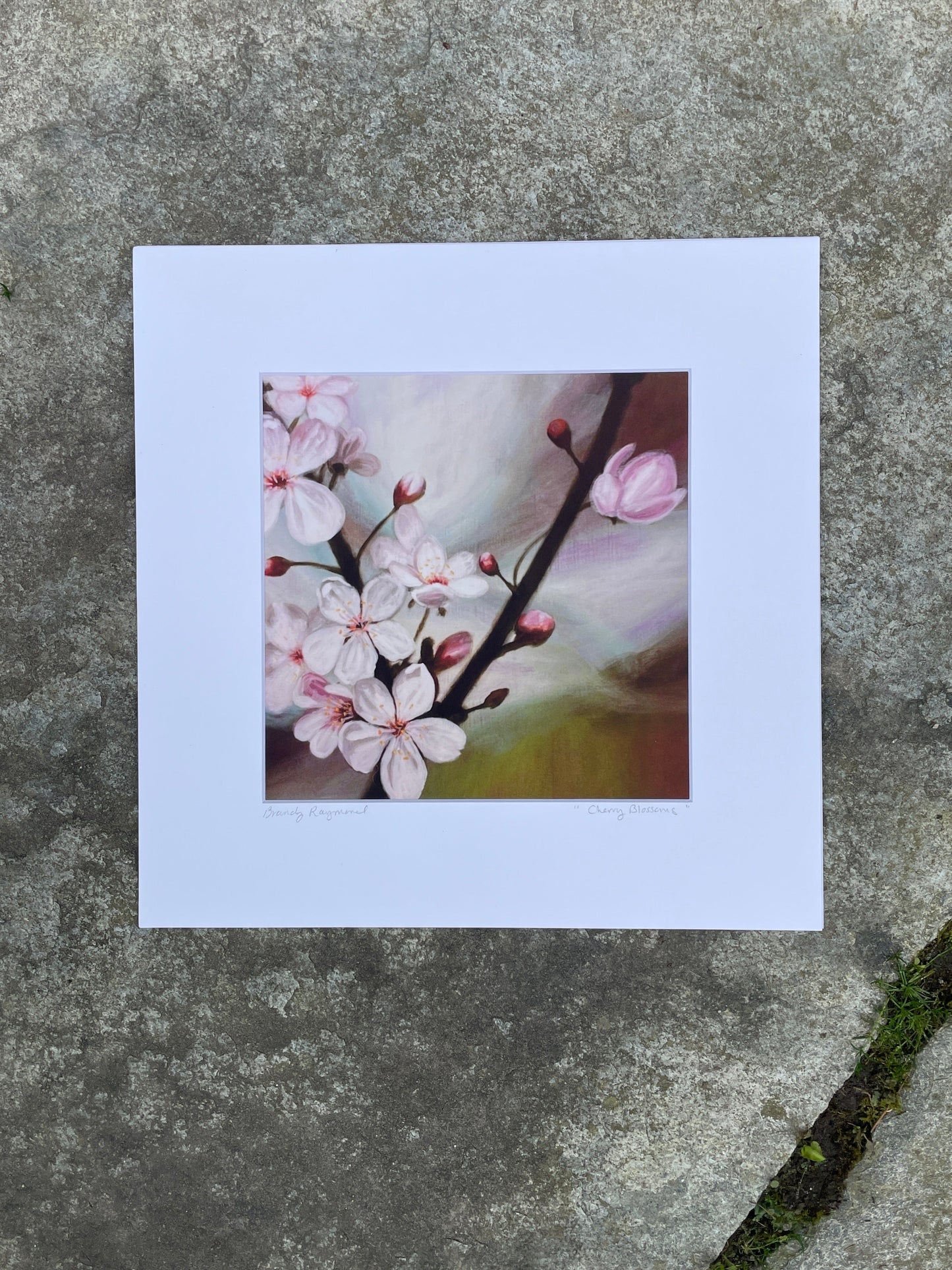 Cherry Blossoms Print