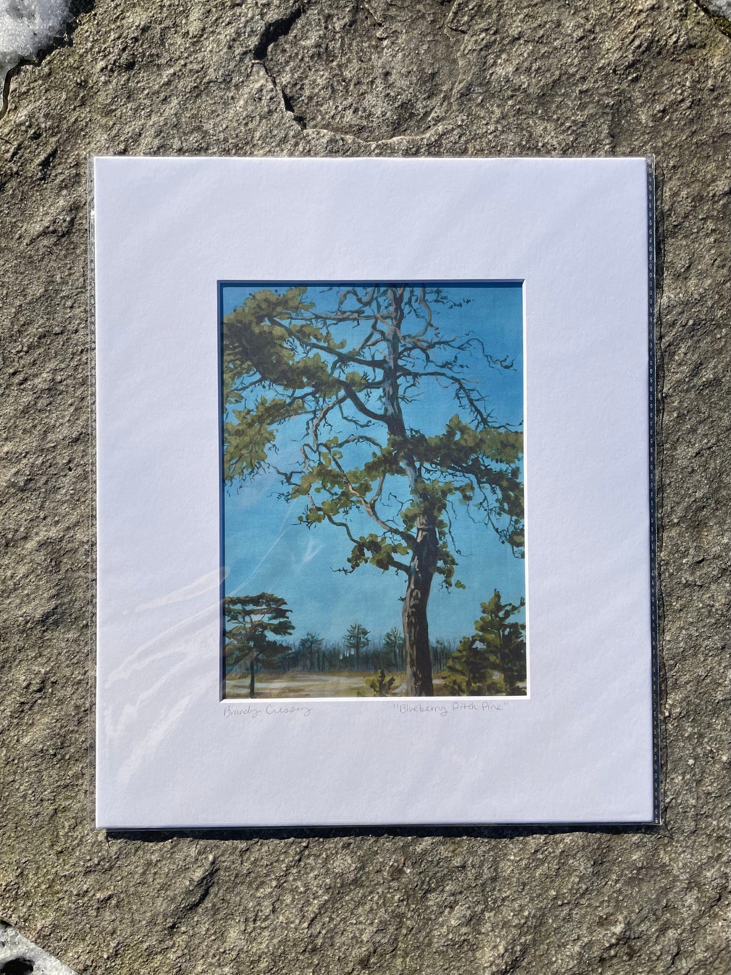 Forest Matted Print