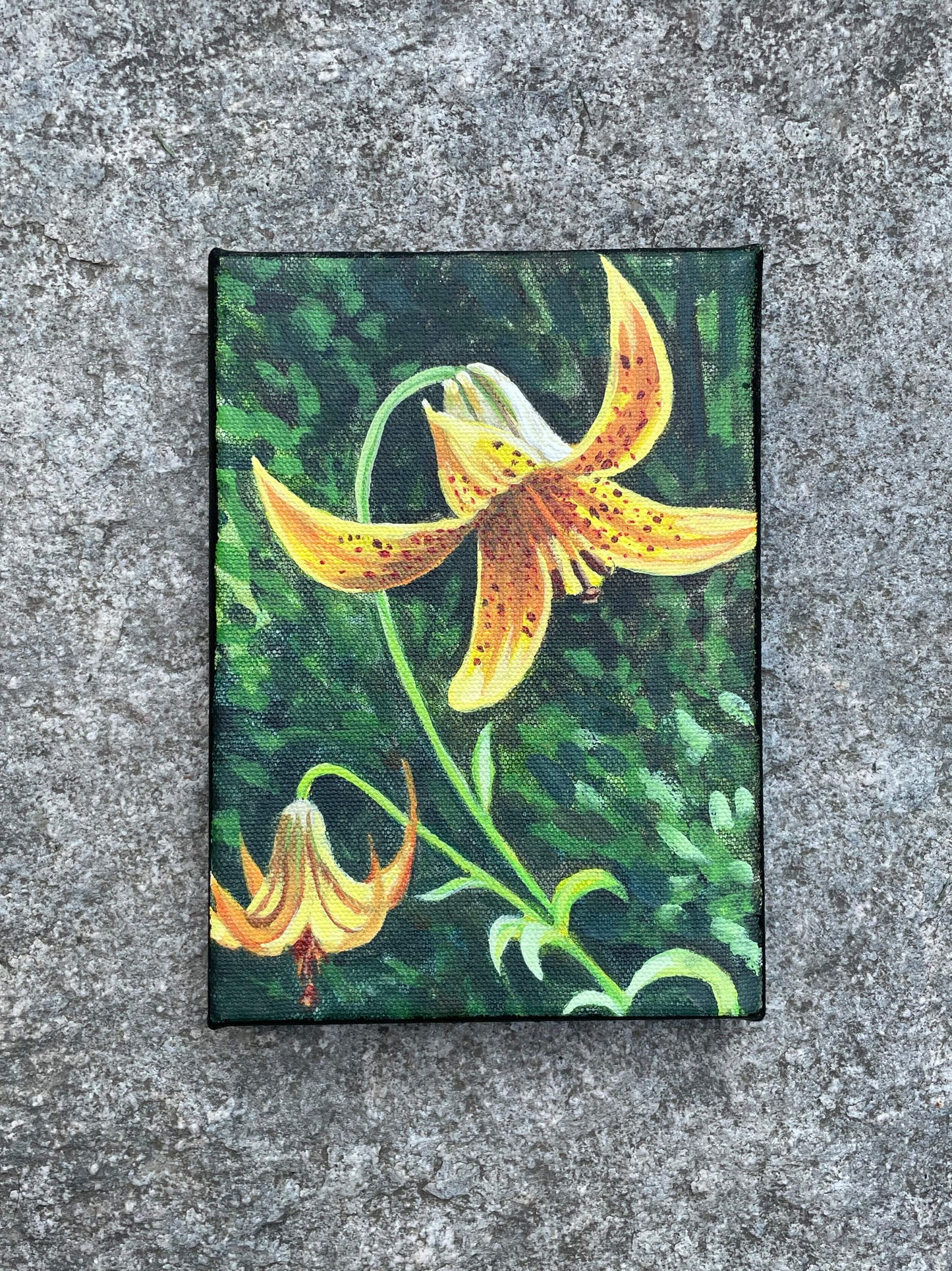 Canada Lily Painting - 5x7