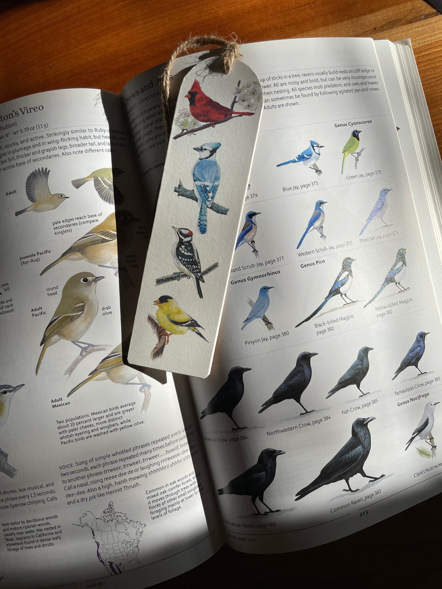 Cardinal, Bluejay, Downy Woodpecker, Goldfinch - Wood bookmark with jute twine