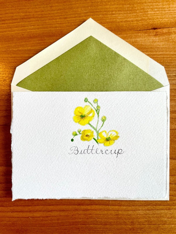MAINE WILDFLOWER GREETING CARD SET